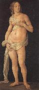 LORENZO DI CREDI Venus oil painting picture wholesale